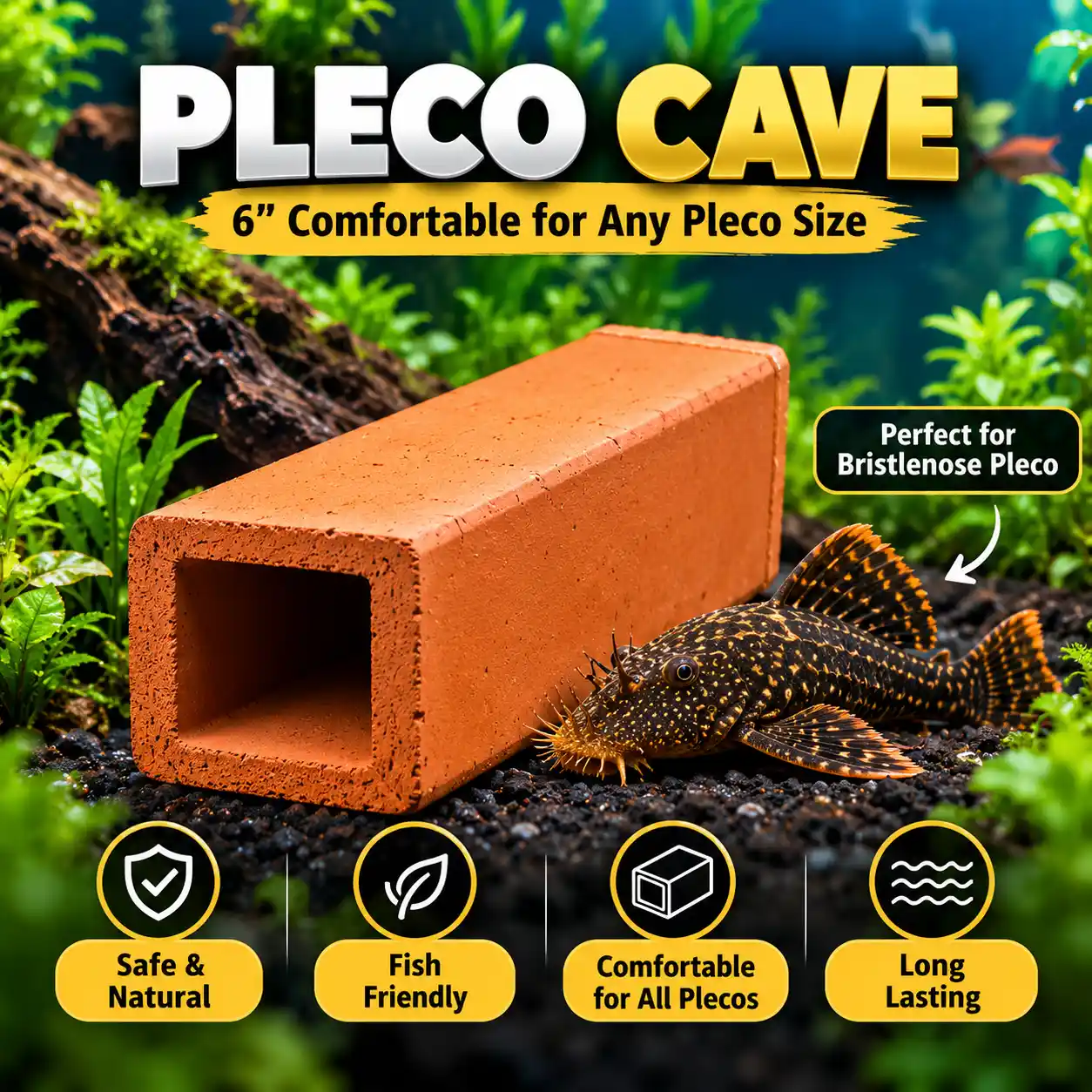 Pleco Cave