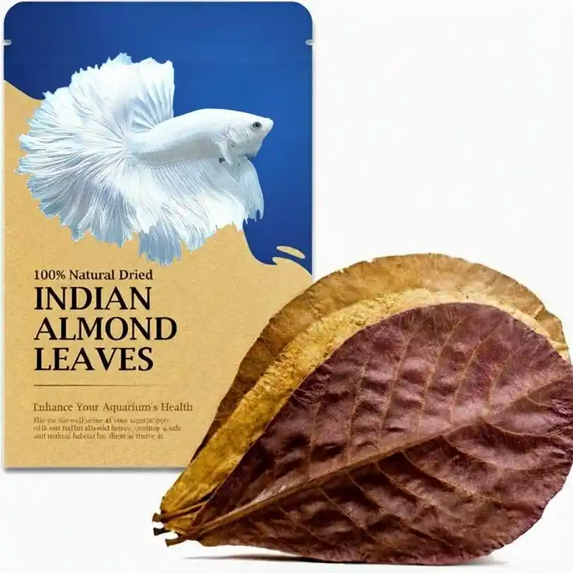 Indian Almond Leaf
