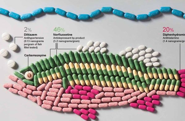 fish_medication