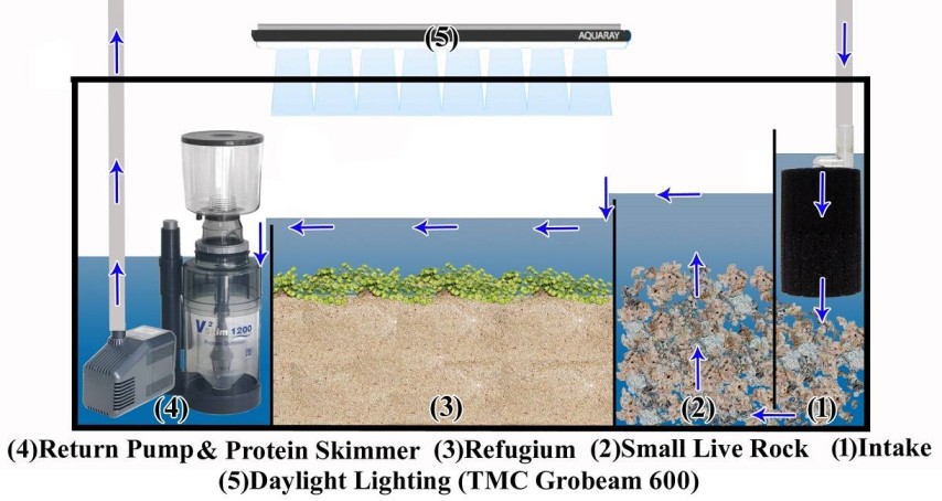 Filtration_Systems