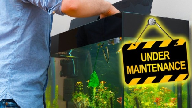 Tank_Maintenance