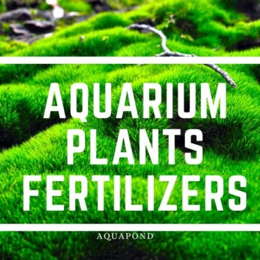 aquarium_fertilizers
