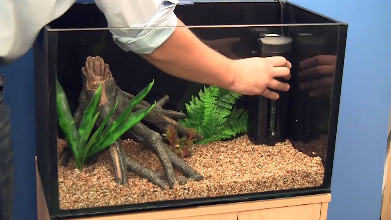 Tank_Setup