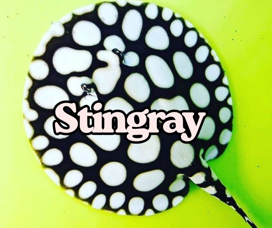 Stingray Entry